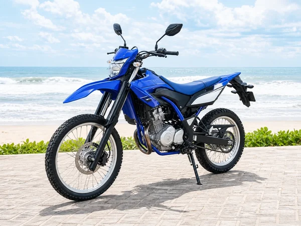 Blue Yamaha WR155R dual-sport motorcycle with tall suspension, spoked wheels and trail-oriented tyres