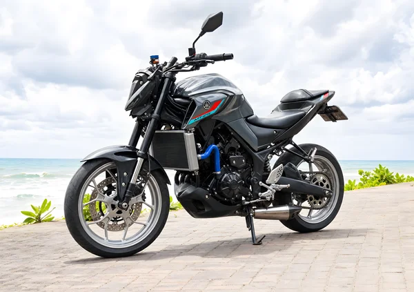 Silver Yamaha MT-25 V2 upright 250cc naked motorcycle with projector headlight and exposed engine